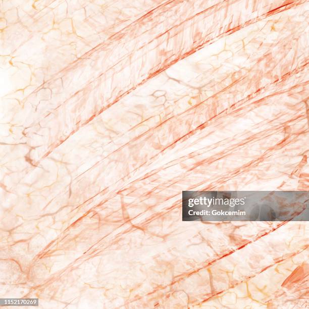 orange marble texture vector background, useful to create surface effect for your design products such as background of greeting cards, architectural and decorative patterns. trendy template inspiration for your design. - white marble surface stock illustrations
