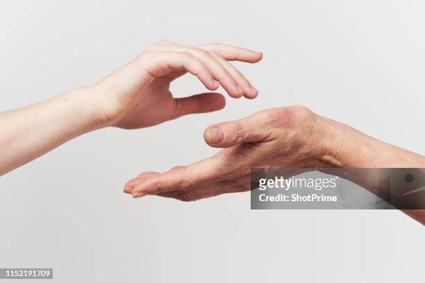 the hand of a young woman and an elderly woman - woman adult hand stockfoto's en -beelden