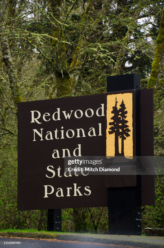 Redwood Sign Redwood National Park Sign High-Res Stock Photo - Getty Images