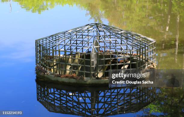Outset Control Structures Pool Drain Cover Photos and Premium High Res Pictures - Getty Images