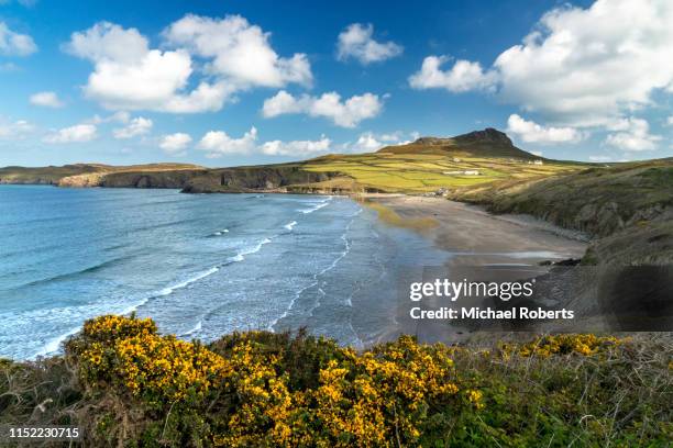 whitesands beach and carn llidi on the pembrokeshire coast path by st davids - wales beach stock pictures, royalty-free photos & images