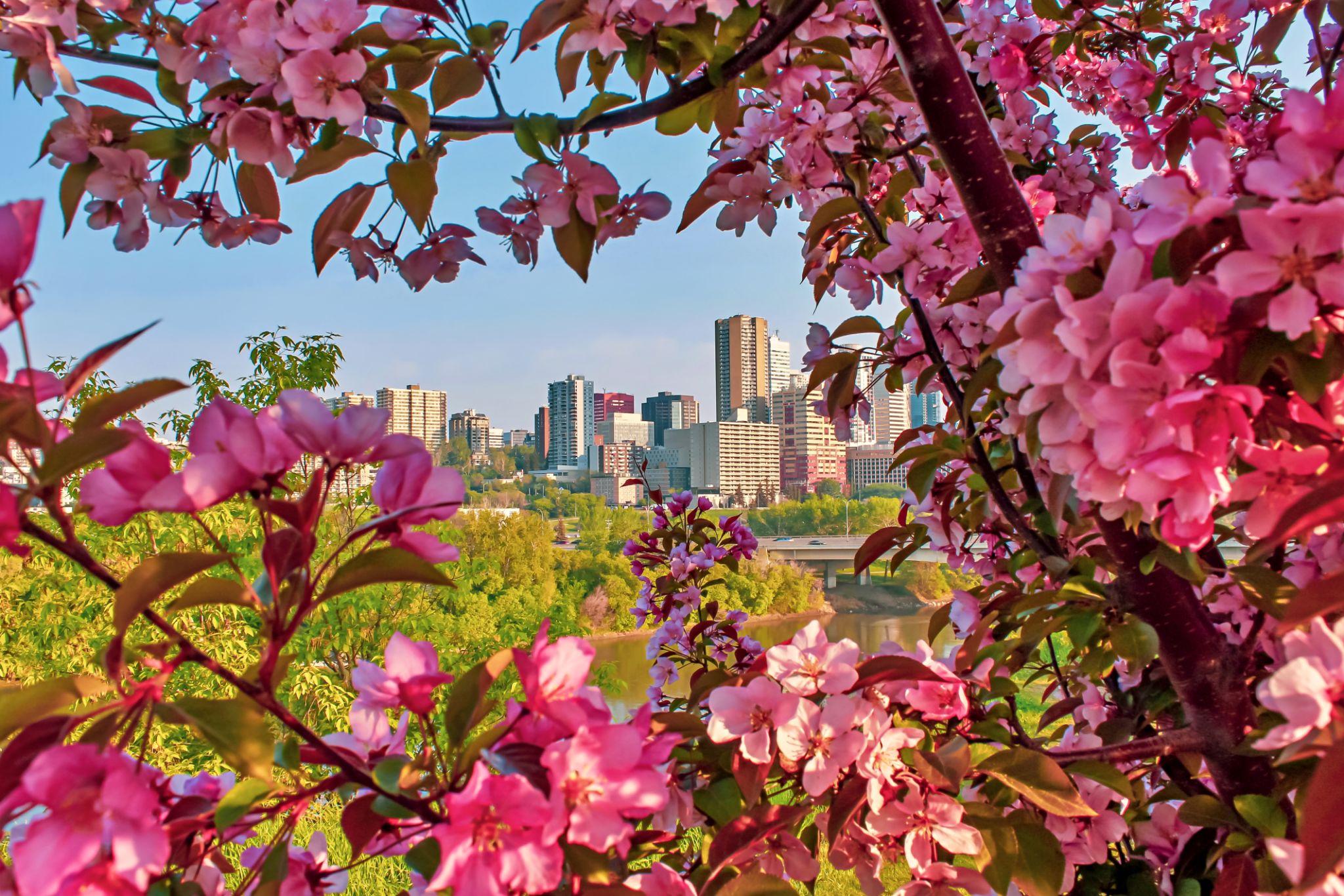 Edmonton spring