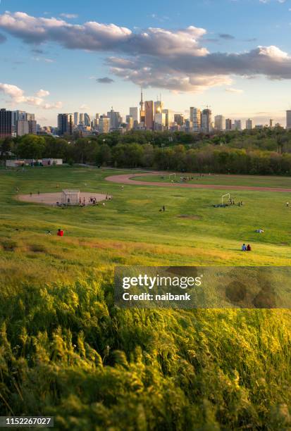 toronto skyline and the sunset from riverdale park - toronto landscape stock pictures, royalty-free photos & images