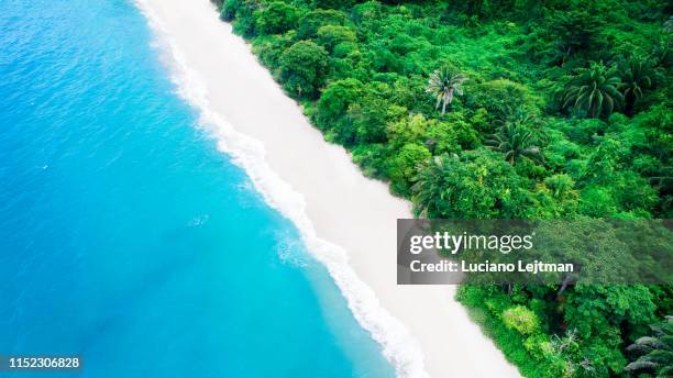 tayrona national park drone view - magdalena bildbanksfoton och bilder