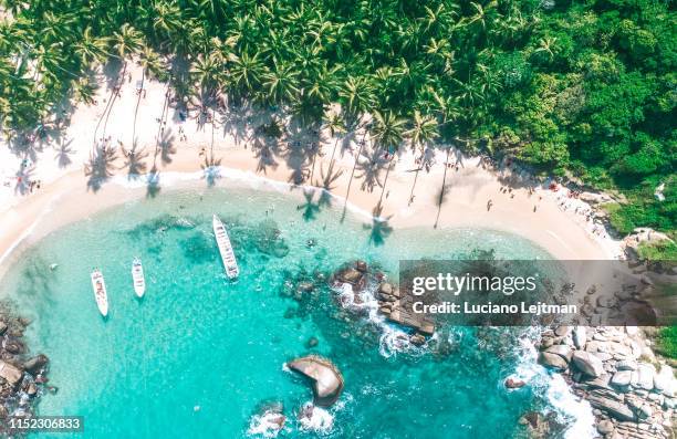tayrona national park drone view - colombia beach stock pictures, royalty-free photos & images