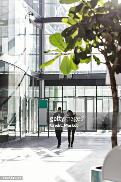 business colleagues talking while walking in atrium at office - atrium architektonisches detail stock-fotos und bilder