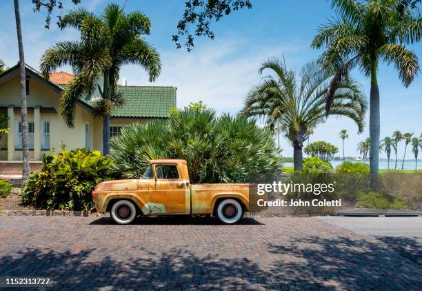 old southeast neighborhood, saint petersburg, florida - abandoned car - fotografias e filmes do acervo