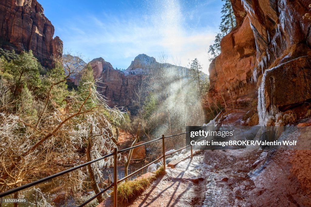 Waterfall falls from overhanging rock, icy hiking trail Emerald Pools Trail in Winter, Virgin River, Zion National Park, Utah, USA