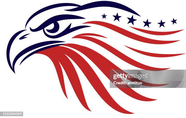 amerikanischer adler - bald eagle stock-grafiken, -clipart, -cartoons und -symbole