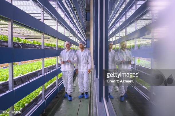 vertical farmers monitoring the future of sustainability - protective footwear stock pictures, royalty-free photos & images