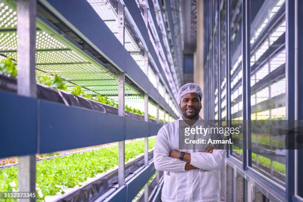 botaniste africain debout parmi les cultures végétales à la ferme verticale - botaniste photos et images de collection