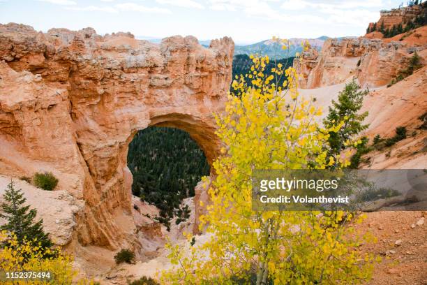 natural rock arche in bryce canyon at autumn, utah, usa - rock hoodoo stockfoto's en -beelden