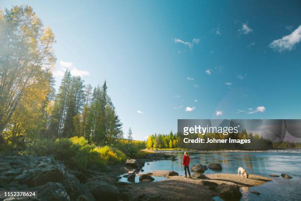 view of lake - lake scandinavia stock pictures, royalty-free photos & images
