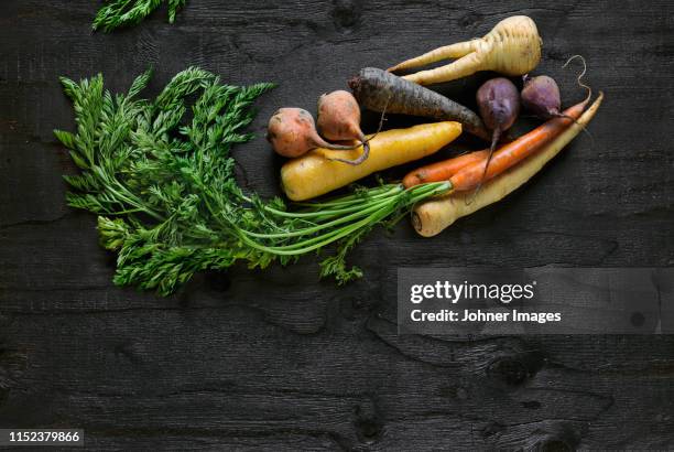 root vegetables on black background - tuber stock pictures, royalty-free photos & images