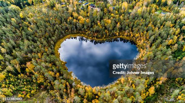 heart-shaped lake surrounded by forest - schweden stock-fotos und bilder