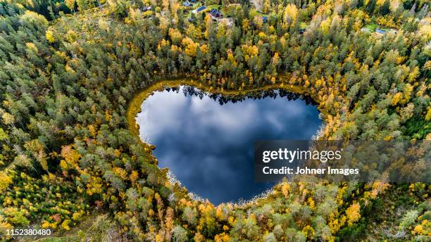 heart-shaped lake surrounded by forest - scandinavie photos et images de collection