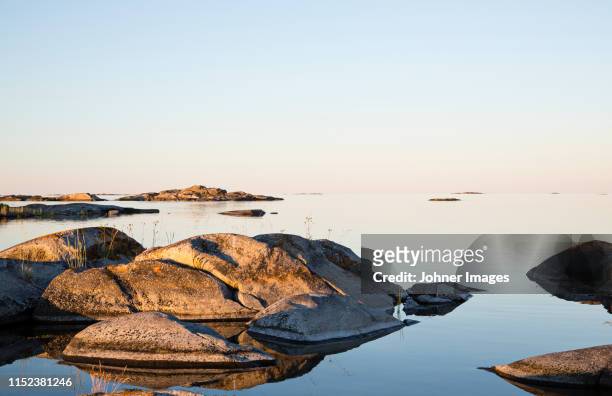 rocky coast at sunrise - stockholm summer bildbanksfoton och bilder