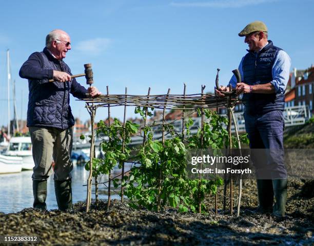 Lol Hodgson , the Baliff of the Manor of Fyling and Tim Osborne carry out the ancient Ceremony of the Horngarth or planting of the Penny Hedge...