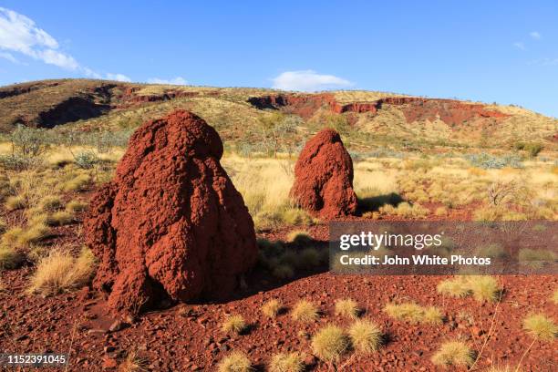 termite mound. karijini national park. - karijini national park stockfoto's en -beelden