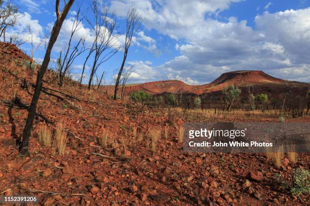 karijini national park. - karijini national park stock pictures, royalty-free photos & images