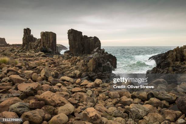 bombo headland - kiama stock pictures, royalty-free photos & images