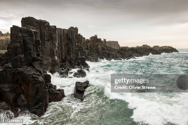 bombo headland - kiama stock pictures, royalty-free photos & images