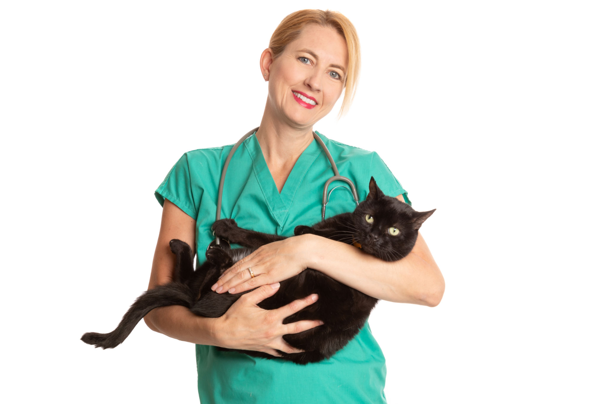 additional pet services