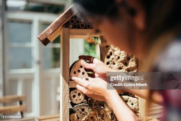 woman building a diy insect hotel. - metallic green bee stock pictures, royalty-free photos & images