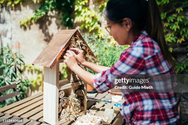 woman building a diy insect hotel. - dierenbescherming stockfoto's en -beelden