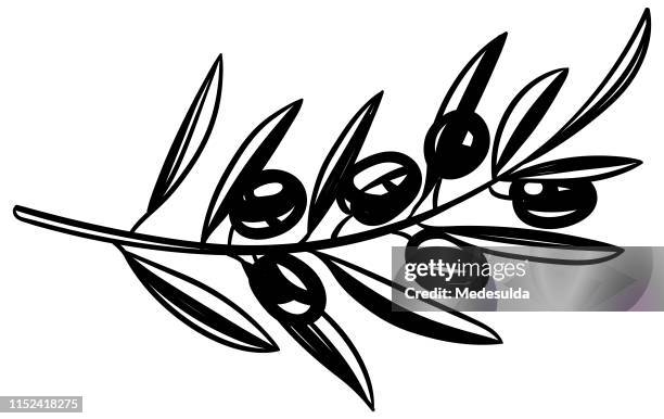 black and white olive branch sketch - black olive stock illustrations