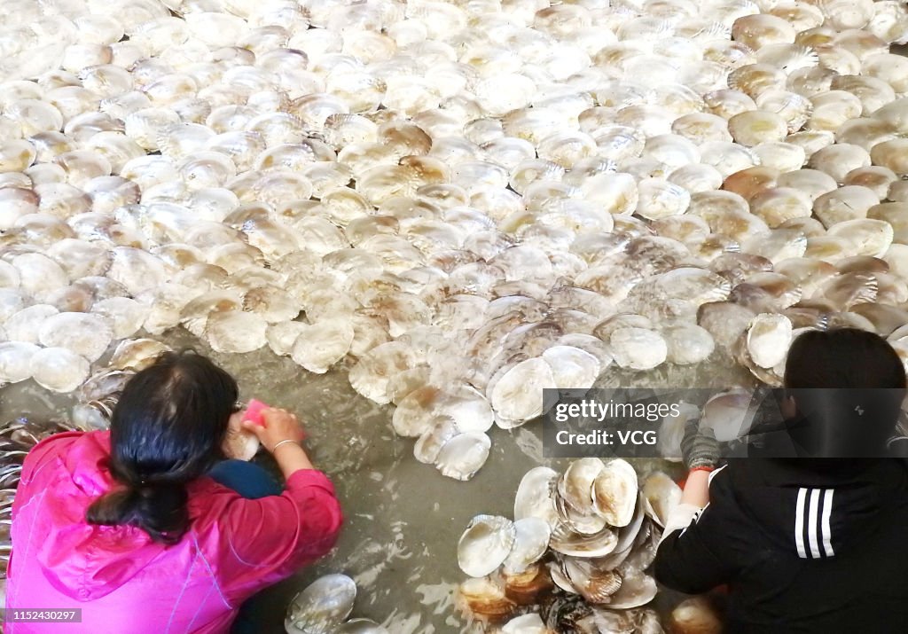Farmers Breed Porphyra Yezoensis In Lianyungang
