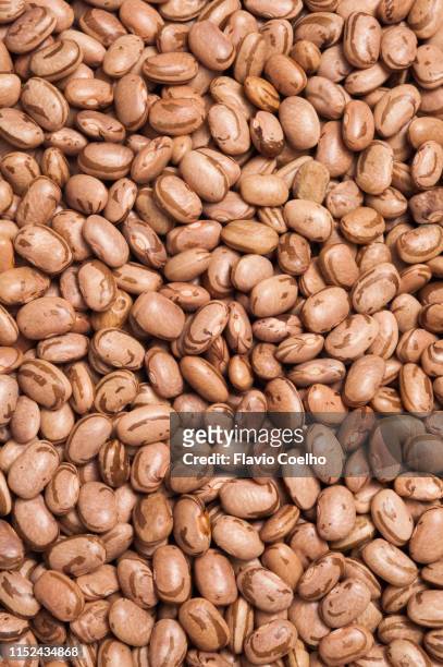 raw pinto beans - bean stock pictures, royalty-free photos & images