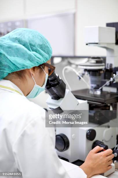 laboratory technician studying human eggs before in vitro fertilization - stem cells human stock pictures, royalty-free photos & images