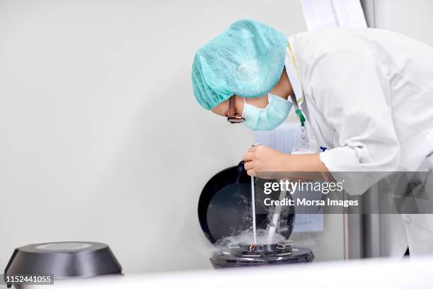 scientist handling samples for cryopreservation - fertilidade humana imagens e fotografias de stock
