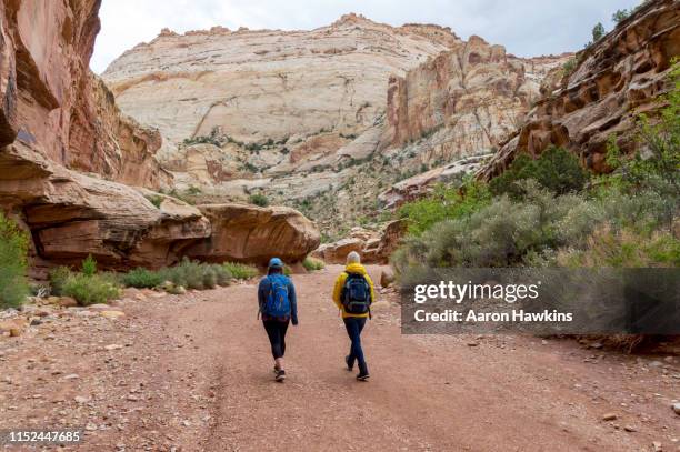 zwei frauen wandern auf dem grand wash wanderweg im capitol reef national park springtime flowers - capitol reef national park stock-fotos und bilder