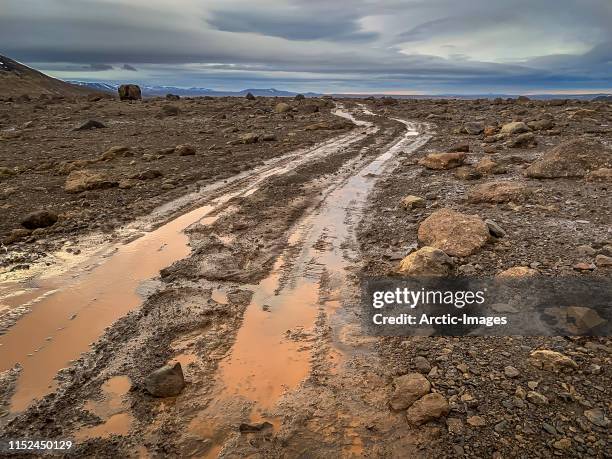 kjolur road or  kjalvegur road, central highlands, iceland - chemin de terre photos et images de collection