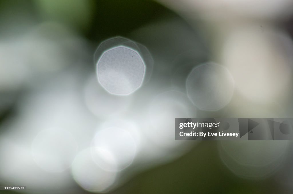 White Nine-Sided Bokeh