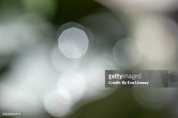 white nine-sided bokeh - focus on foreground stock pictures, royalty-free photos & images