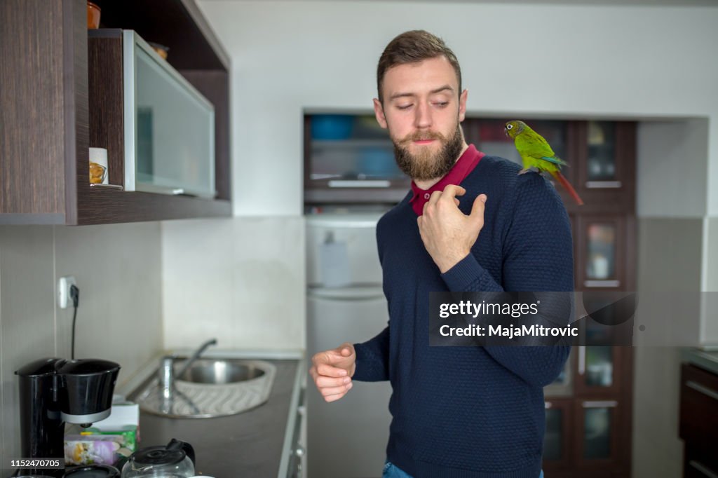 Parrot on the hand