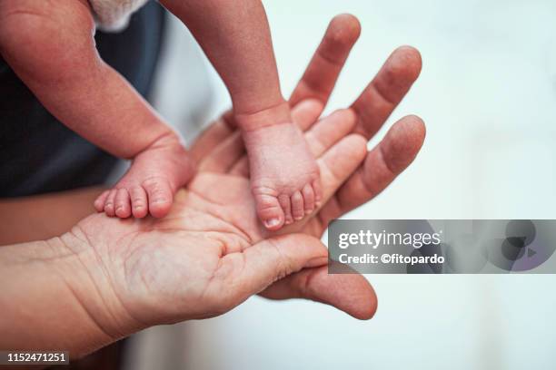 baby mother and father together - 人工授精 個照片及圖片檔