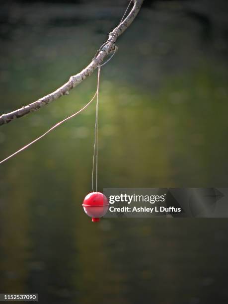 bobber - freshwater fishing stock pictures, royalty-free photos & images