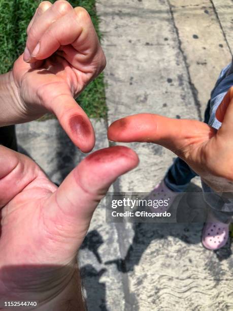 electoral ink over fingers - political leaders vote in the eu referendum stock pictures, royalty-free photos & images