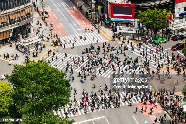 shibuya überquert tokio japan - shibuya crossing stock-fotos und bilder