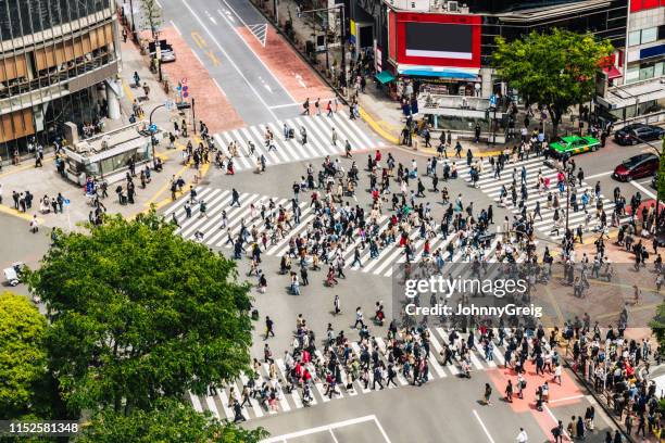 shibuya crossing tokyo japan - shibuya crossing stock pictures, royalty-free photos & images