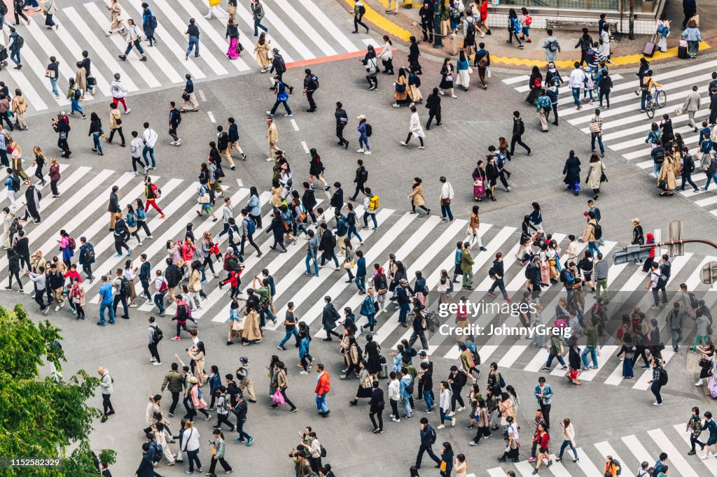 Shibuya Crossing, Tokyo, Japan