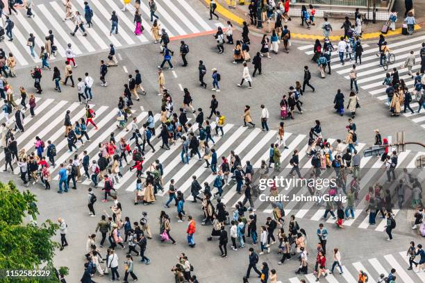 shibuya crossing, tokyo prefektur, japan - crowd in the street bildbanksfoton och bilder