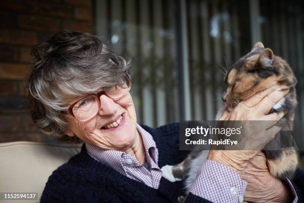 smiling senior woman holding her pet tortoiseshell cat - old lady cat stock pictures, royalty-free photos & images