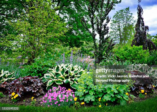 beautiful spring garden plants in may in babylon, long island - formal garden foto e immagini stock