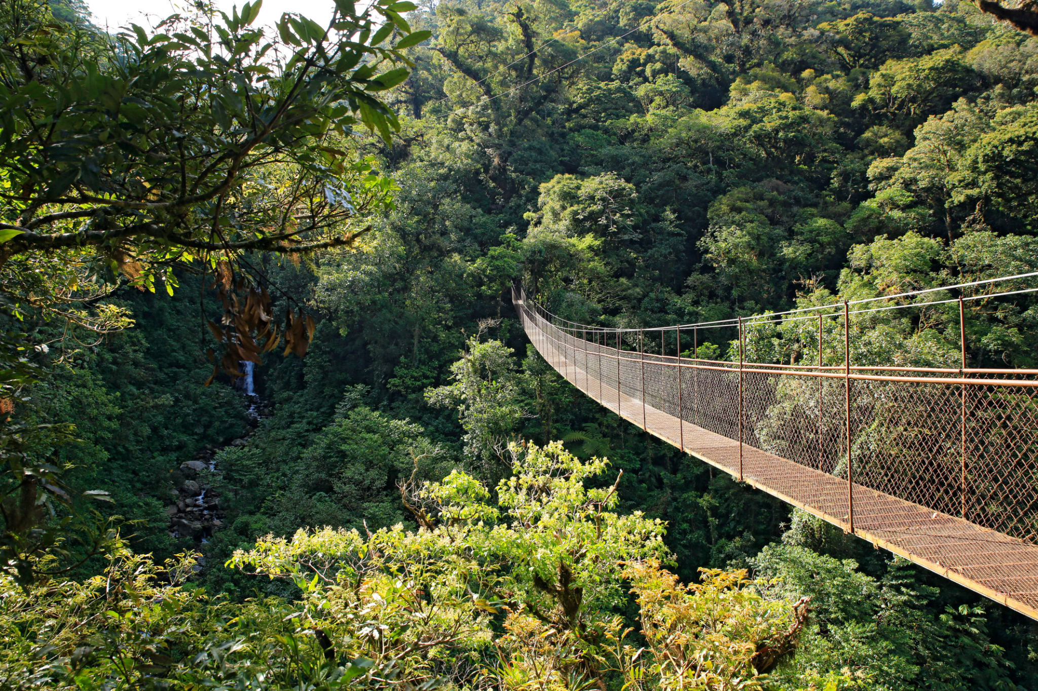Canopy Walk in Boquete, Panama Canopy Walk in Boquete, Panama