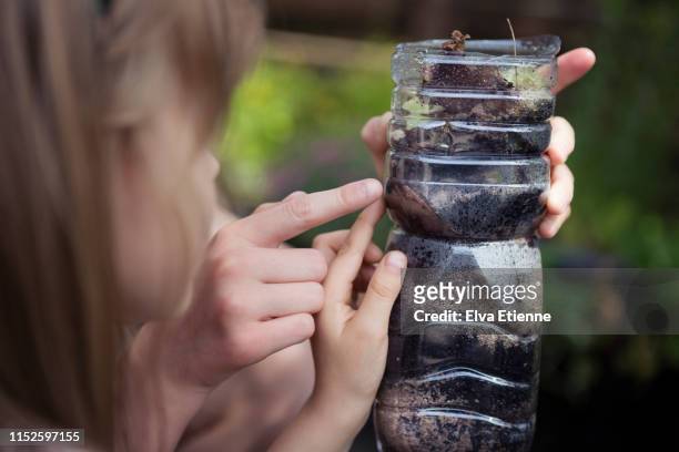two children looking for worms in a homemade wormery made from a recycled plastic water bottle - nightcrawler film stock-fotos und bilder